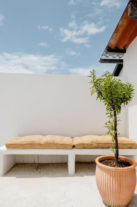 Green Garage بايون المظهر الخارجي الصورة