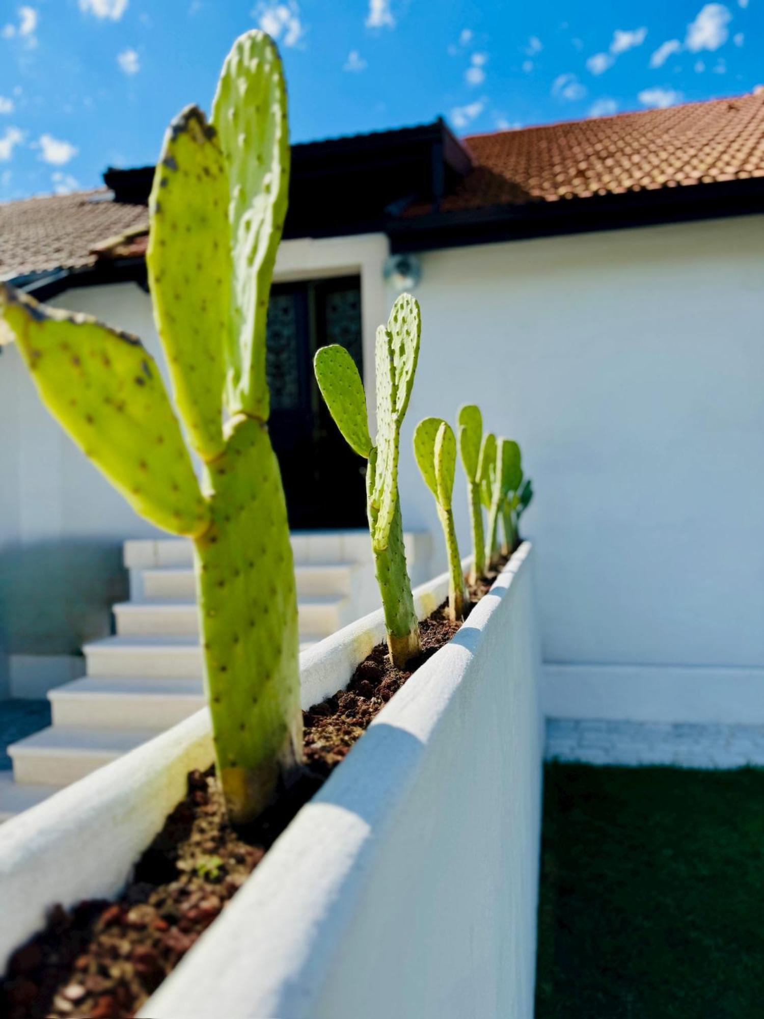 Green Garage بايون المظهر الخارجي الصورة